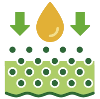 Improves Nutrient Absorption Illustration for Improves Nutrient Absorption