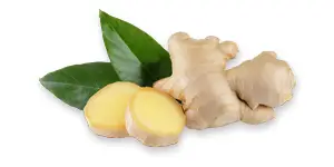 Ginger Root Image of ginger root